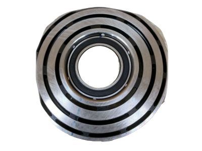 Chevrolet A/C Idler Pulley - 6581371