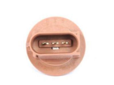 GM 22943357 Socket Assembly, Parking & Turn Signal Lamp
