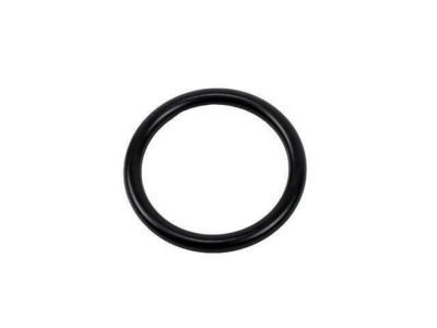 GM 55353331 Seal,Engine Oil Cooler Outlet Pipe (O Ring)