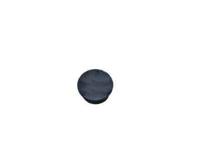 GM 95015712 Cap, Front Side Door Trim Bolt *Jet Black