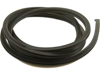 Chevrolet S10 Weather Strip - 15100040