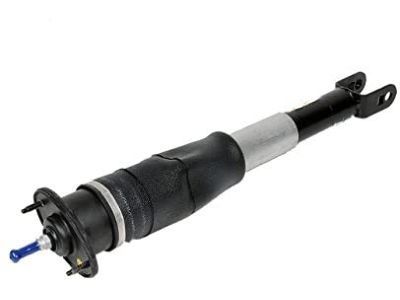 Cadillac STS Shock Absorber - 19302796