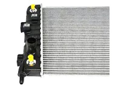 GM 10344419 Radiator Assembly