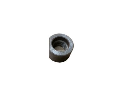 GM 3760300 Nut, Special