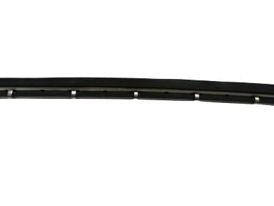 GM 12472704 Wiper Asm,Windshield Insert *Black