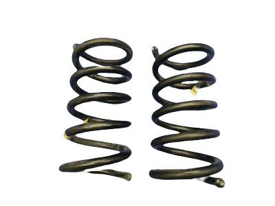 GM 20847939 Rear Spring