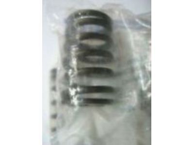 GM 22077724 Rear Spring