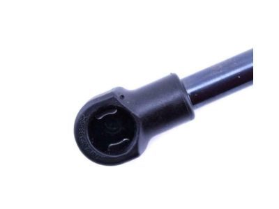 GM 19184244 Strut,Lift Gate