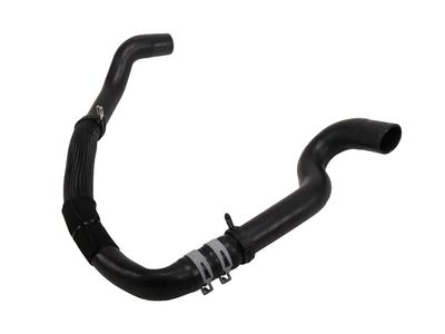 Chevrolet Colorado Radiator Hose - 84829303