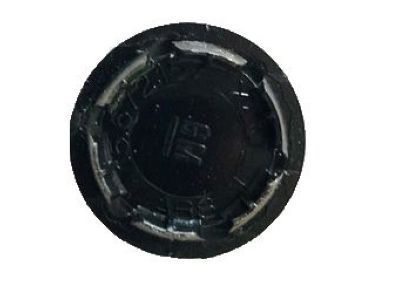 GM 15672157 Plug,Front Side Door Access Hole