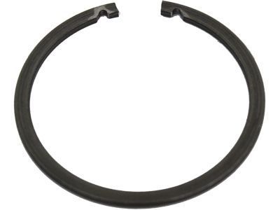 GM 15702309 Ring,Rear Wheel Bearing Retainer