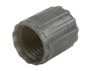 GM 15122620 Cap,Tire Pressure Indicator Sensor