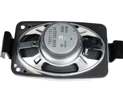 GM 15071125 Speaker Assembly, Radio Rear