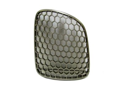 GM 15909805 Grille, Radiator (Mold, In, Color L.H.)
