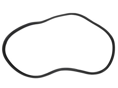 Pontiac G3 Weather Strip - 96540965