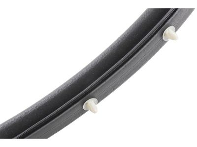Cadillac ATS Door Seal - 84947754