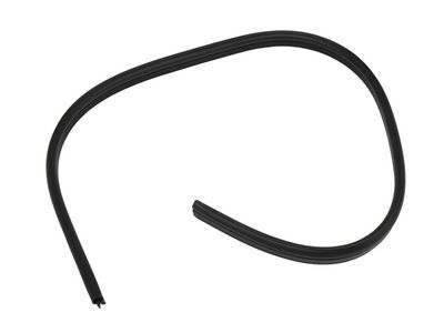 Pontiac G3 Weather Strip - 96648169