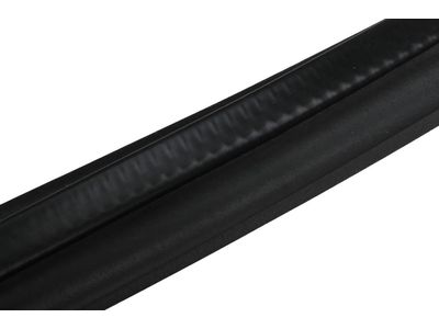 Pontiac G3 Weather Strip - 96648169