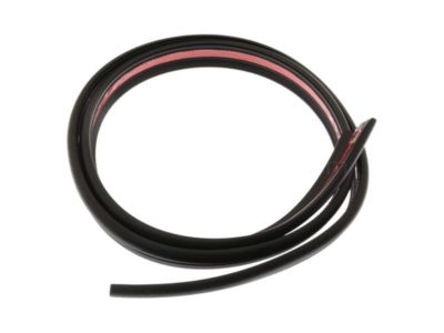 GMC Jimmy Weather Strip - 15113130