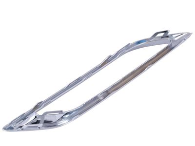 GM 39138807 Molding Assembly, Rear Bpr Fascia Otr Lwr 39138807 GM Molding Assembly, Rear Bpr Fascia Otr Lwr Product Photo 1 of 2