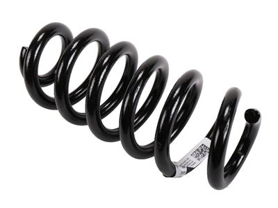 Chevrolet Blazer Coil Springs - 84234128