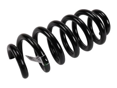 Chevrolet Blazer Coil Springs - 84234128