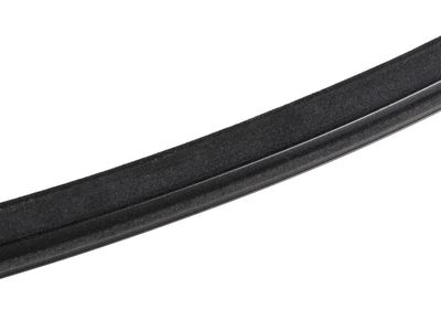 2022 Chevrolet Bolt EV Door Moldings - 42802000