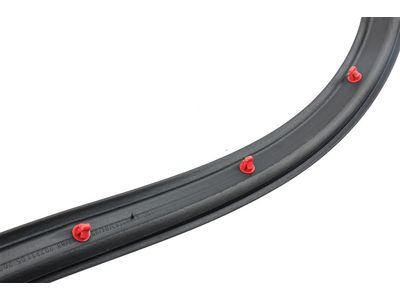 Buick Encore Door Seal - 42763356