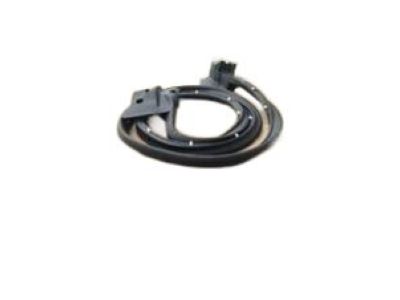 GM 12392763 Weatherstrip Assembly, Sash Rh