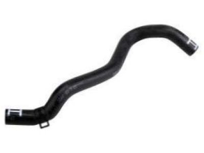 GM 96442615 Throttle Body Heater Inlet Hose