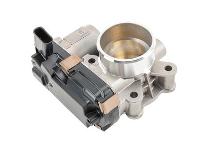 GM Throttle Body - 25198462