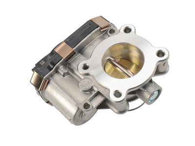 GM Throttle Body - 25198462