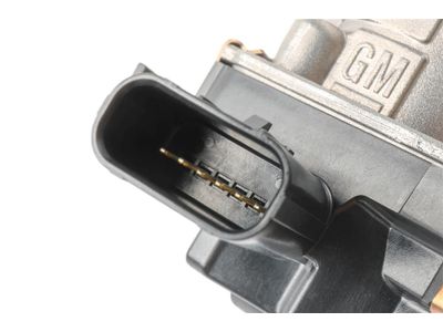 GM Throttle Body - 25198462