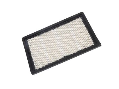 Chevrolet Malibu Air Filter - 10366901