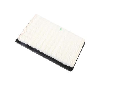 Chevrolet Malibu Air Filter - 10366901