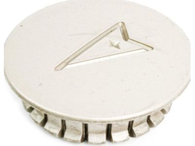 GM 10207641 Hub Cap ASSEMBLY