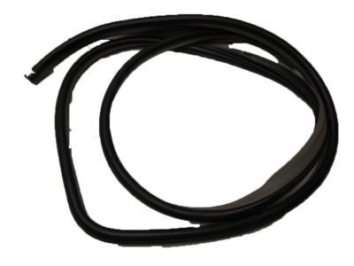 Chevrolet Aveo Weather Strip - 96467379