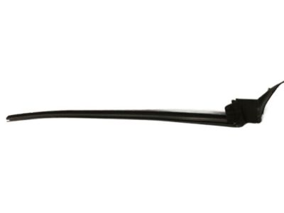 2010 Chevrolet Camaro Door Seal - 92243319