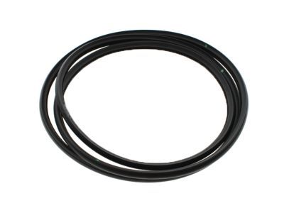 2008 Cadillac Escalade Weather Strip - 22815954