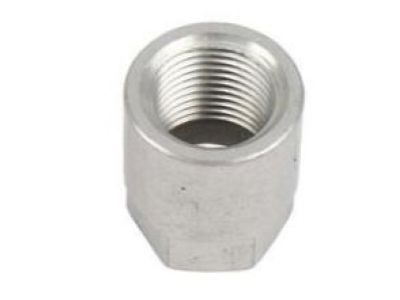 GM 15122619 Nut,Tire Pressure Indicator Sensor