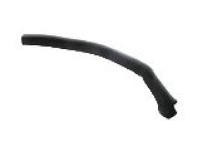 GM 25544766 Sealing Strip Assembly, Rear Side Door Lower