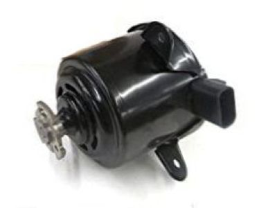 Chevrolet Fan Motor - 89018690