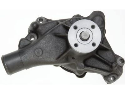 19201601 GM Water Pump Kit Product Photo 2 of 3