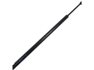 25800491 GM Strut Assembly, Lift Gate Product Photo 1 of 2