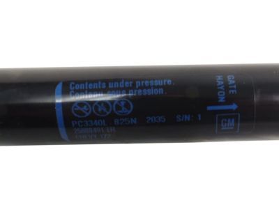 25800491 GM Strut Assembly, Lift Gate Product Photo 2 of 2