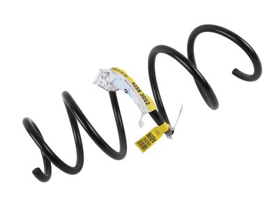 Chevrolet Spark Coil Springs - 42593052