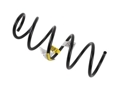 Chevrolet Spark Coil Springs - 42593052
