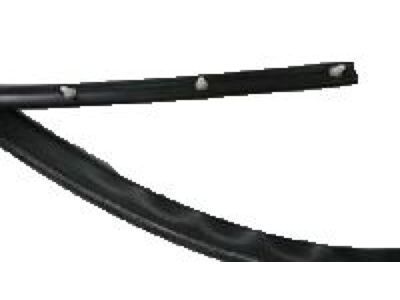 Pontiac Grand Am Weather Strip - 22614341