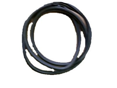 1995 Buick Roadmaster Door Seal - 10272731