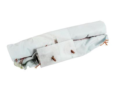 23425293 GM Front Seat Outboard Seat Back Airbag Assembly   Product Photo 1 of 3